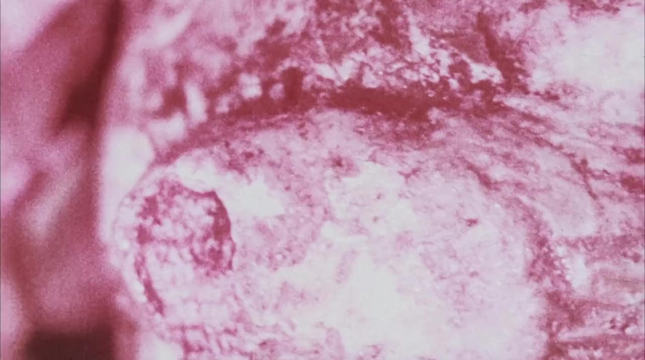 The Headless Eyes screenshot 1
