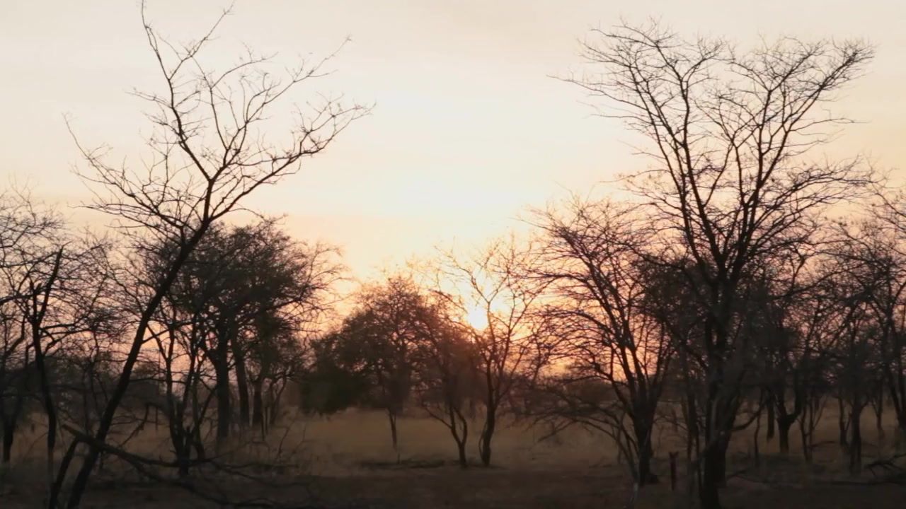 The Heart of Nuba screenshot 1