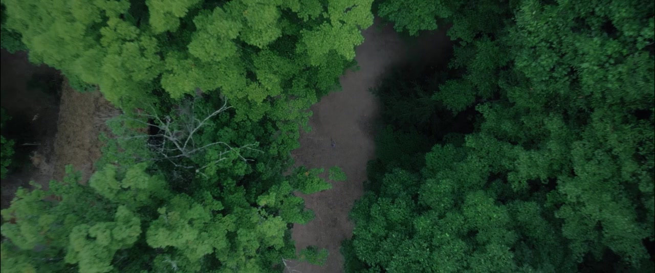 The Hermit screenshot 1