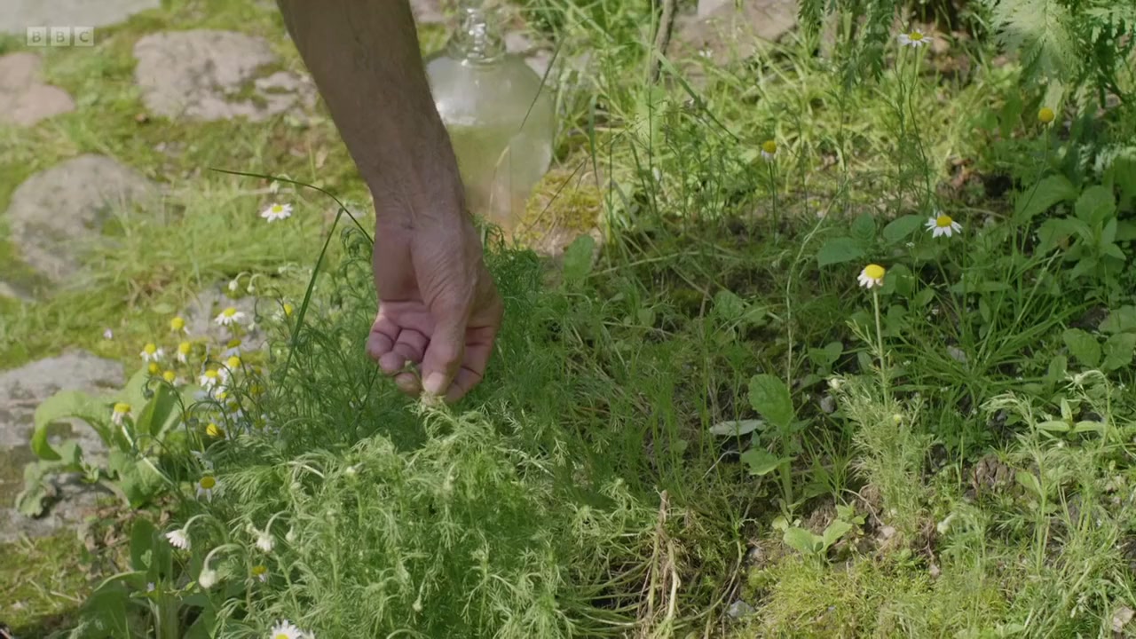 The Hermit of Treig screenshot 3
