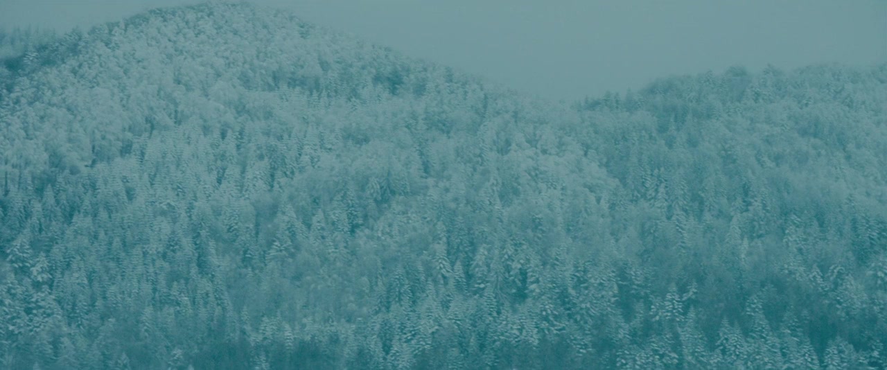 Na granicy screenshot 3