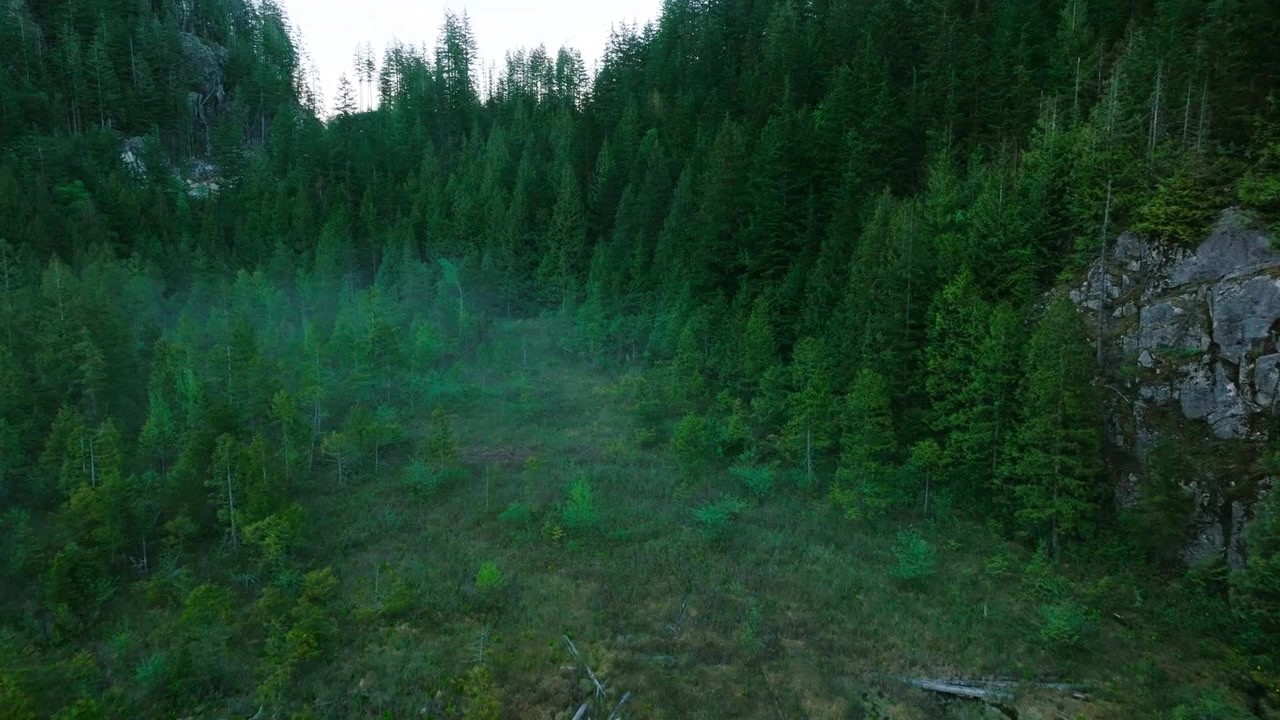 The Hid screenshot 3