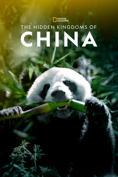 The Hidden Kingdoms of China (2020) poster