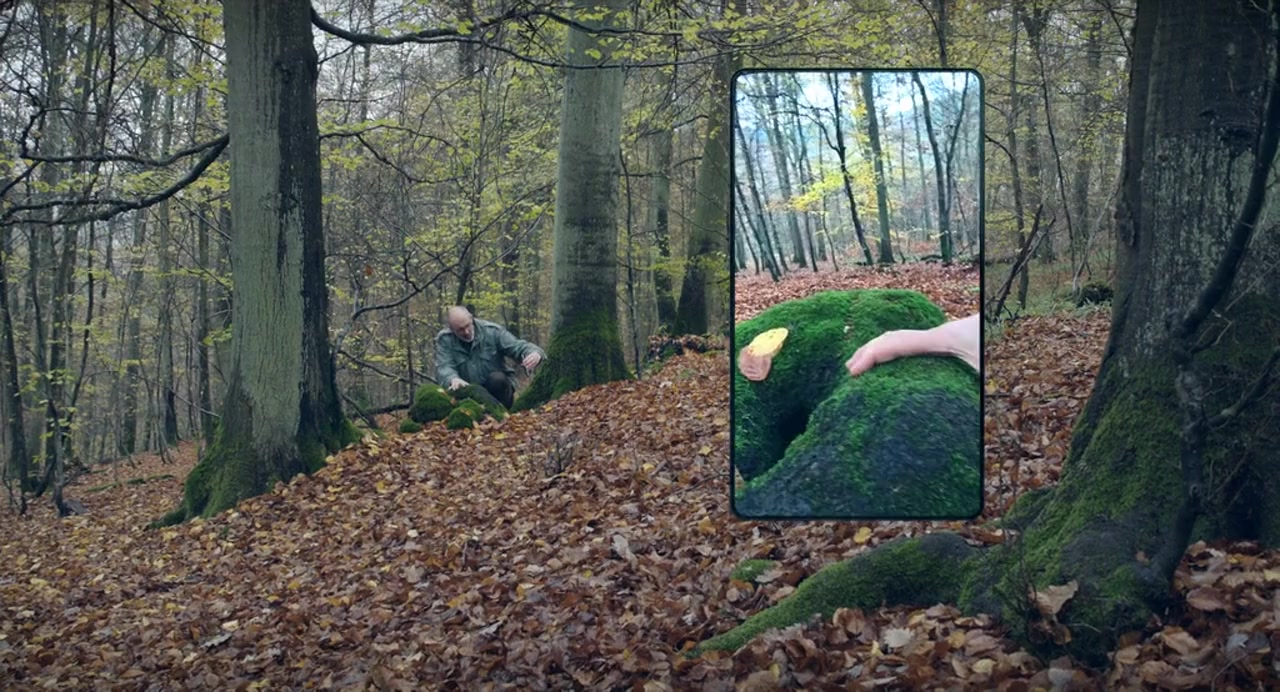Das geheime Leben der Bäume screenshot 1