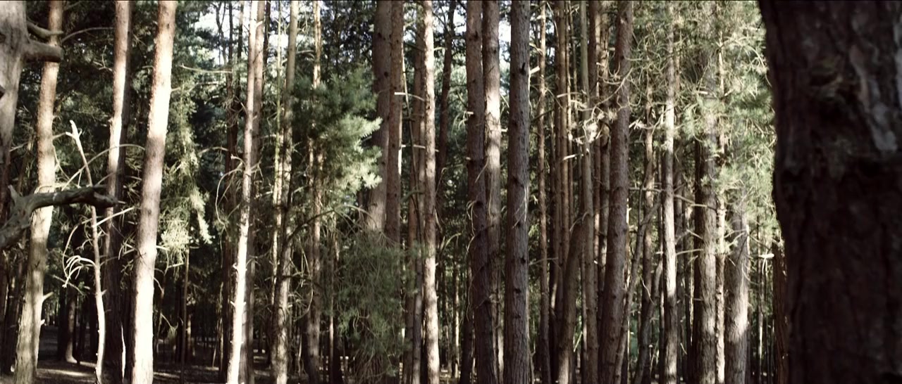 The Hike screenshot 3