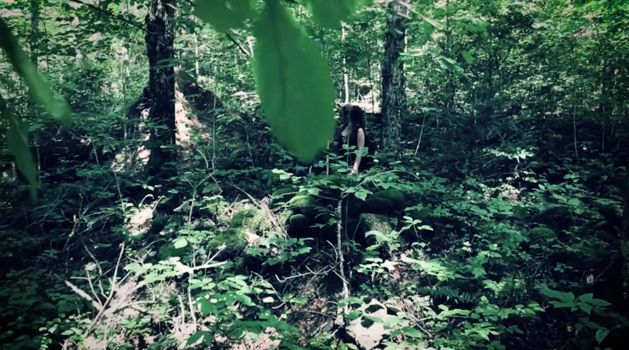 The Hike screenshot 1