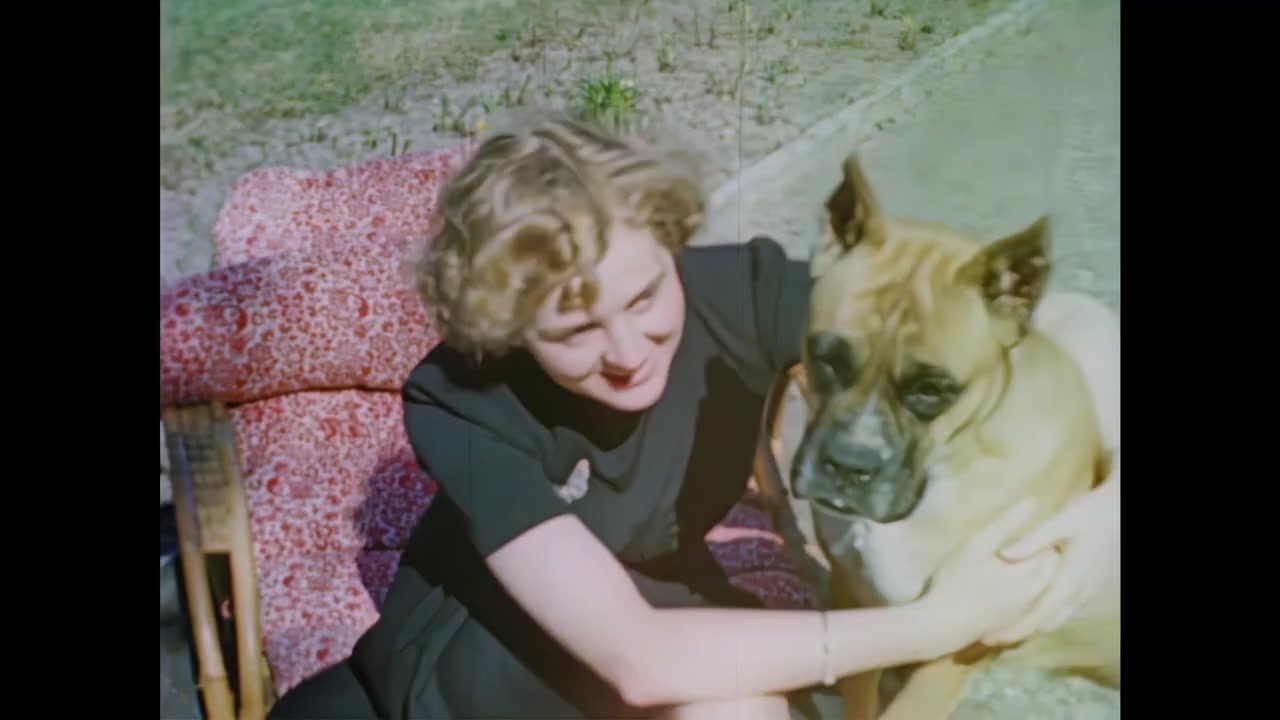 The Hitler Home Movies screenshot 1