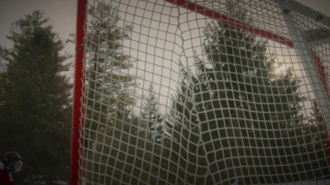 The Hockey Player screenshot 2
