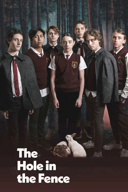 El hoyo en la cerca (2021) poster