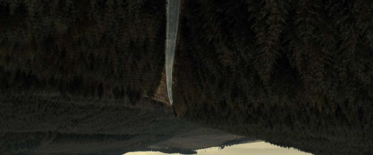 The Hole in the Ground screenshot 1