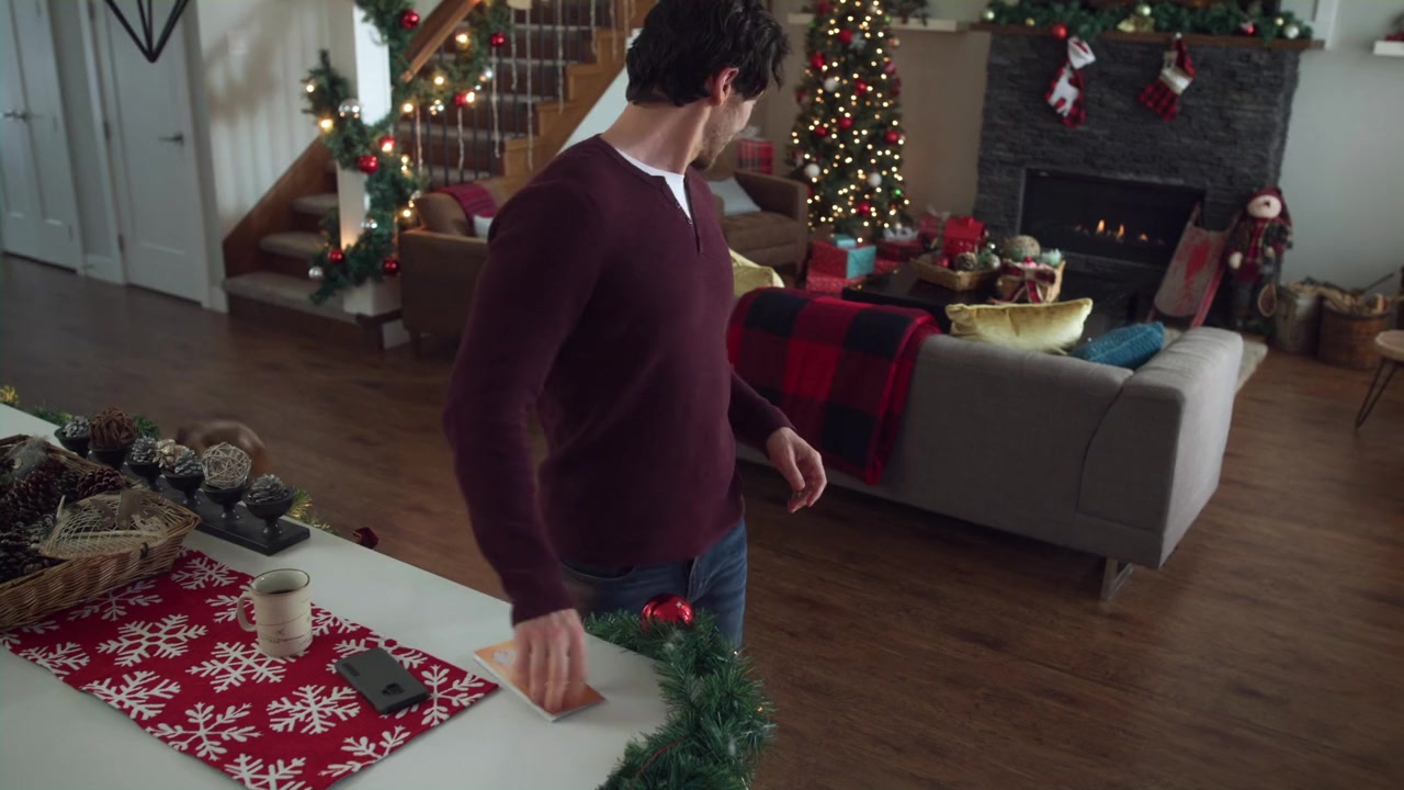 The Holiday Sitter screenshot 1