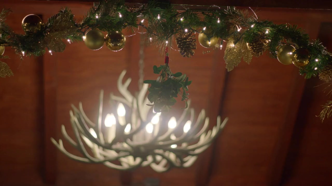 The Holiday Proposal Plan screenshot 2