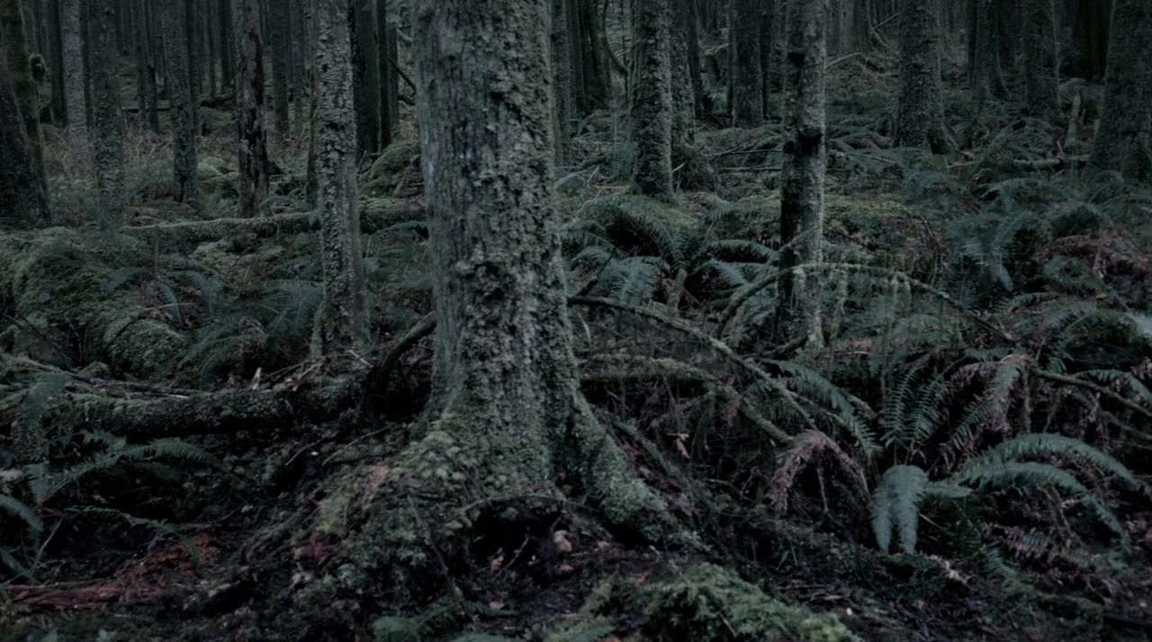 The Hollow screenshot 1
