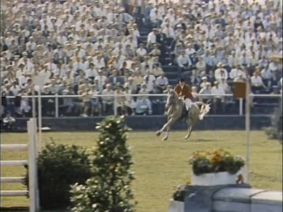 The Horse with the Flying Tail screenshot 1