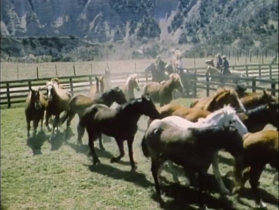 The Horse with the Flying Tail screenshot 3