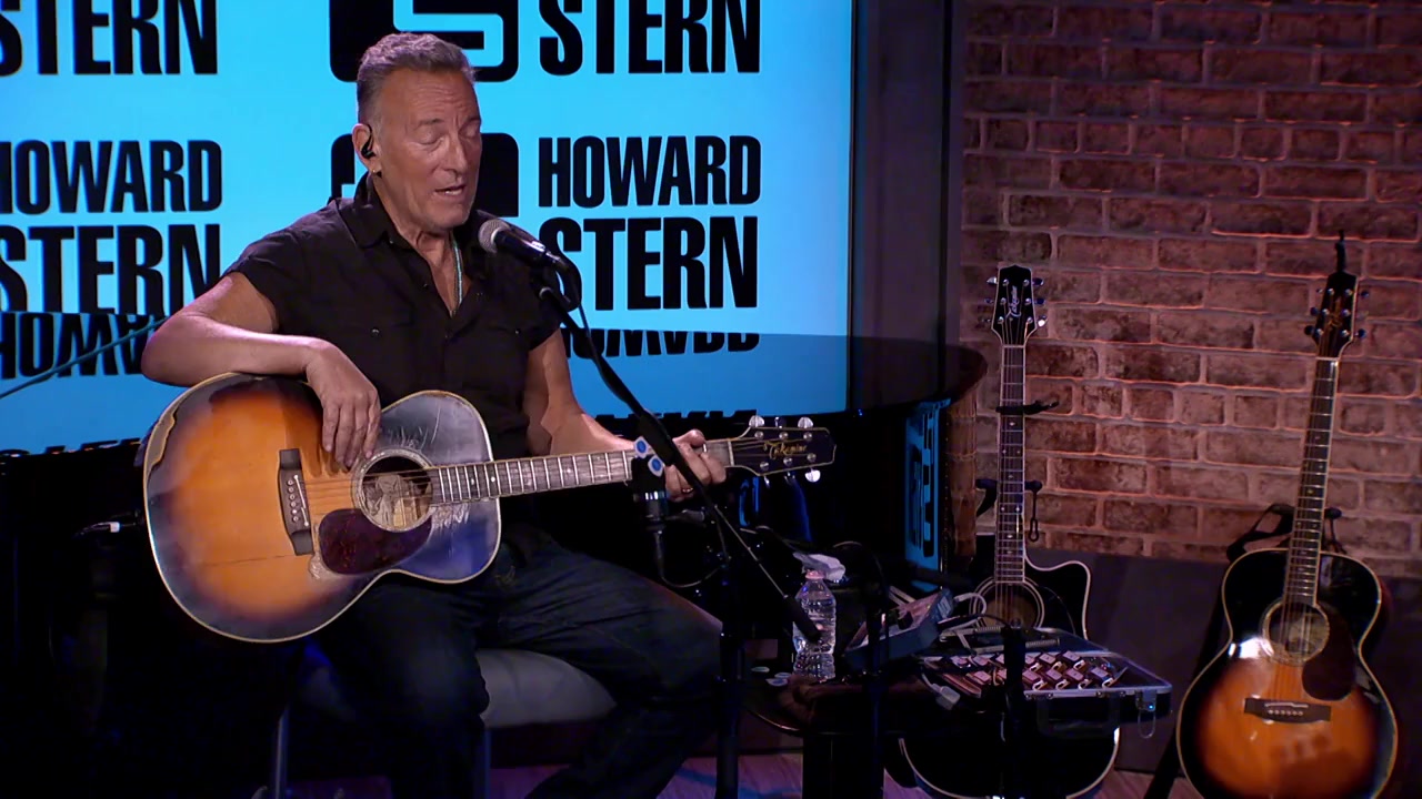 The Howard Stern Interview screenshot 1