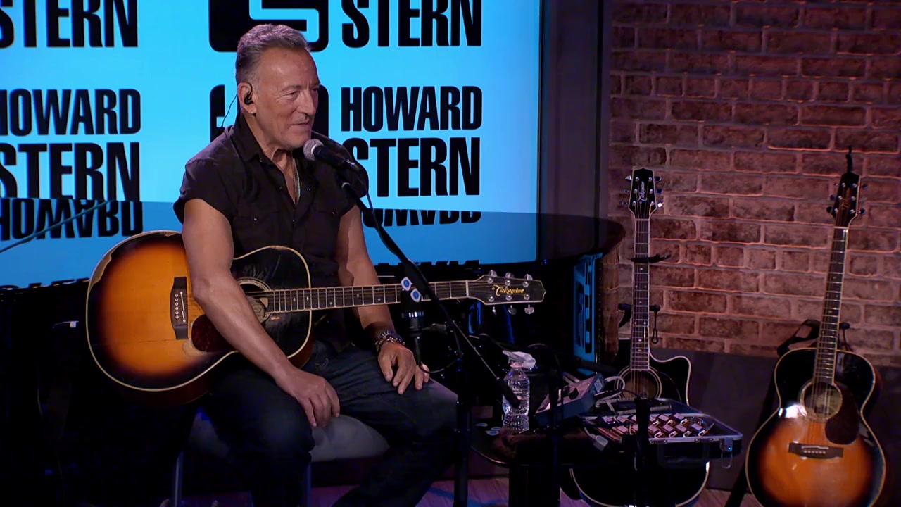 The Howard Stern Interview screenshot 2