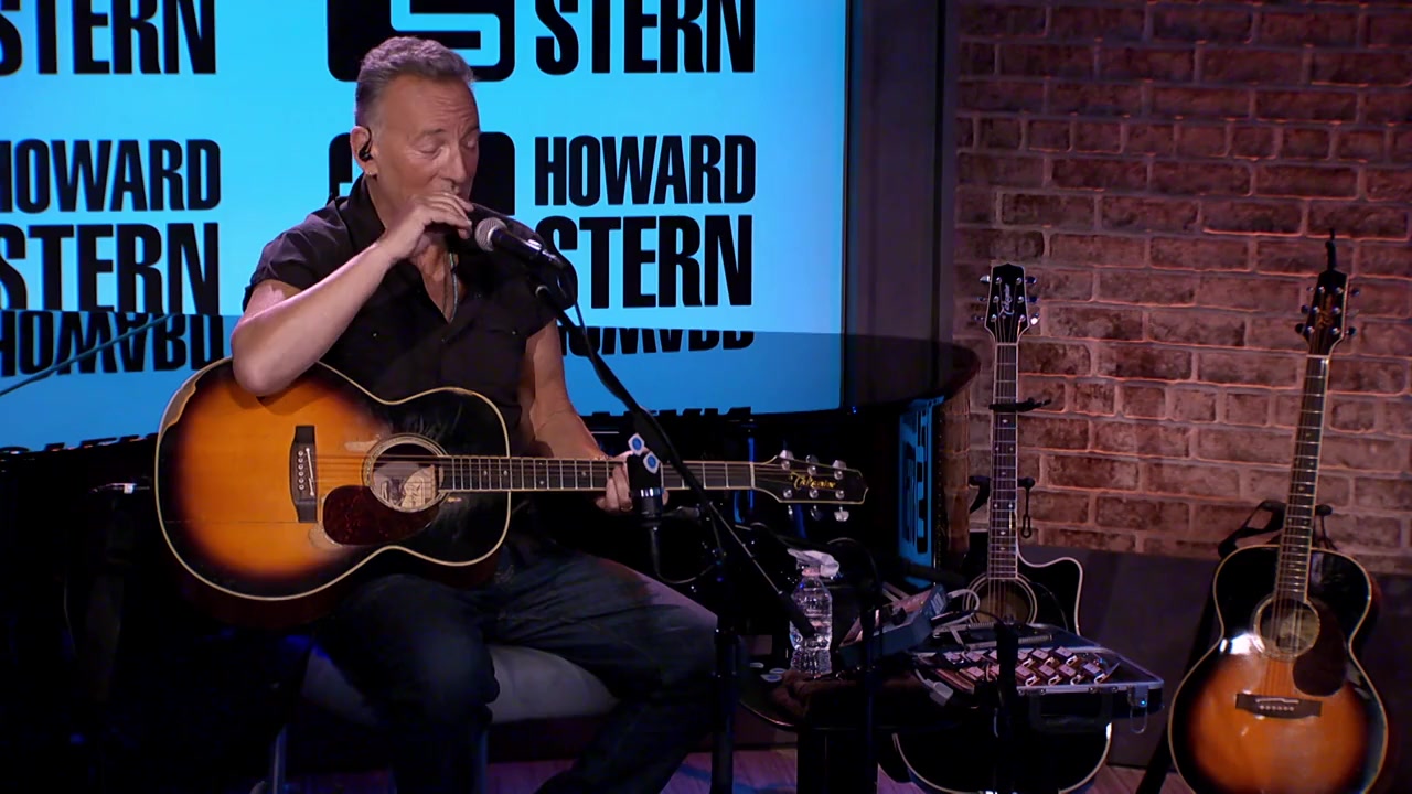 The Howard Stern Interview screenshot 3