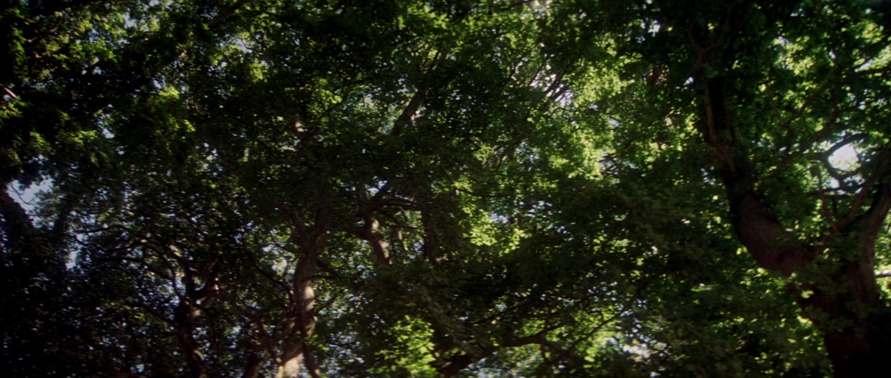 The House of Mirth screenshot 1