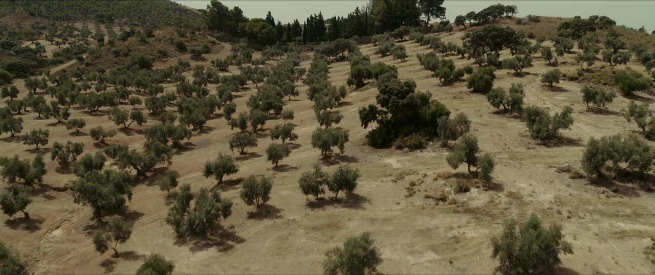 La casa del caracol screenshot 1