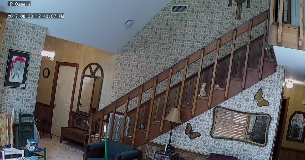 The House in Between screenshot 1