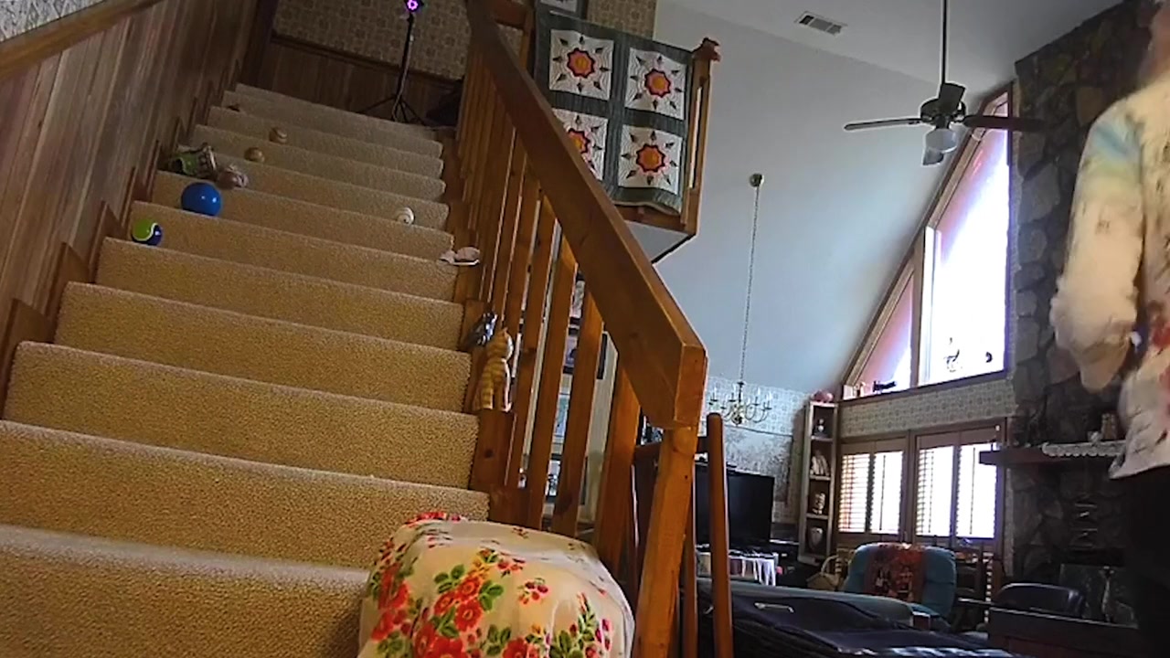 The House in Between 2 screenshot 3
