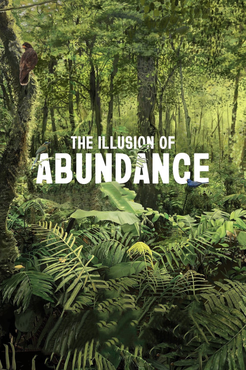 The Illusion of Abundance (2023) poster