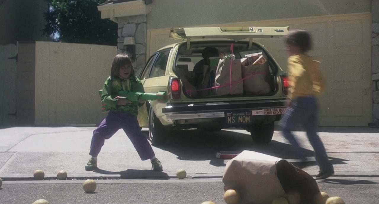 The Incredible Shrinking Woman screenshot 3