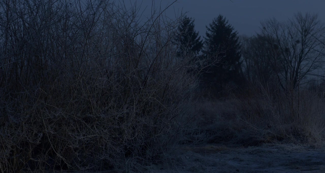 Les innocentes screenshot 1