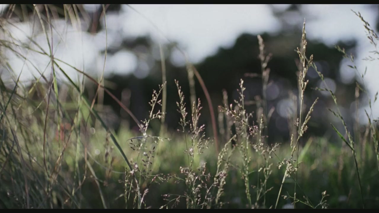 The Inner Life of Martin Frost screenshot 3