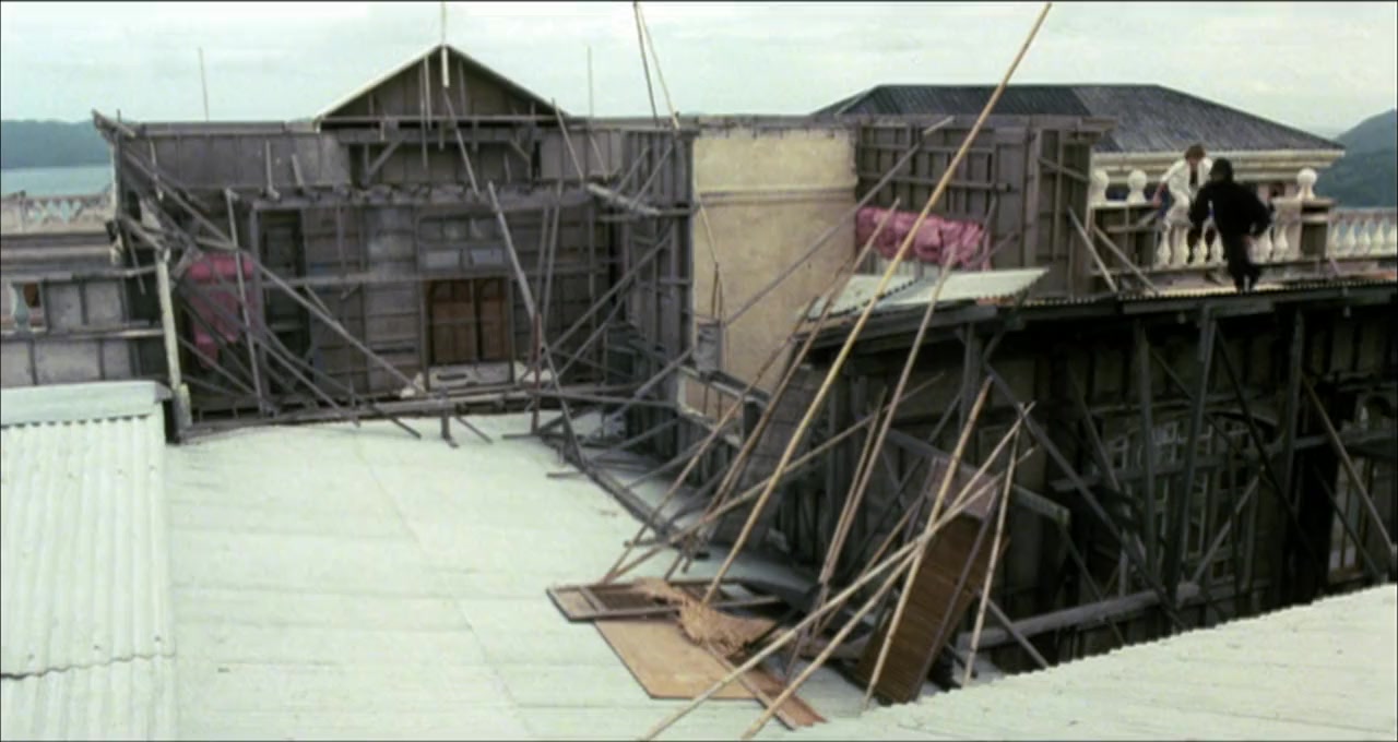 Ba wong fa screenshot 3
