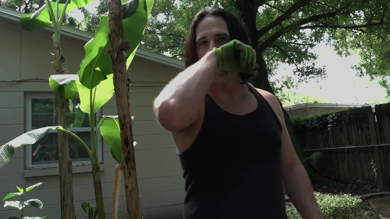 The Insurrectionist Next Door screenshot 1