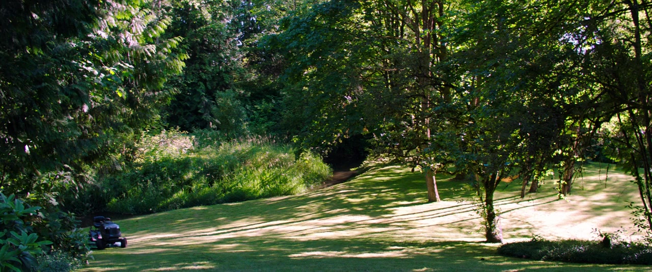 The Intruder screenshot 1