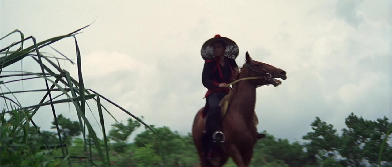 Tie shou wu qing screenshot 3