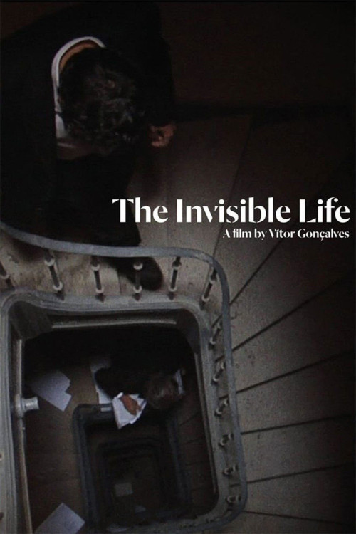 A Vida Invisível (2013) poster