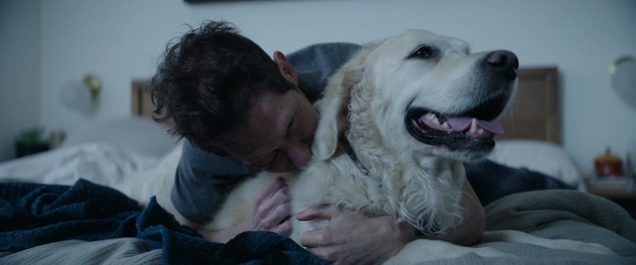 The Invisibles screenshot 1