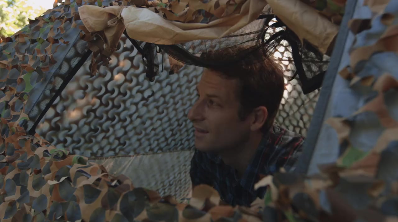 The Jungle screenshot 3