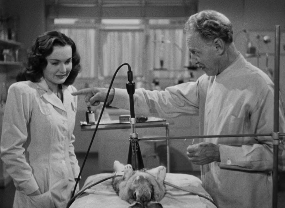 The Jungle Captive screenshot 1
