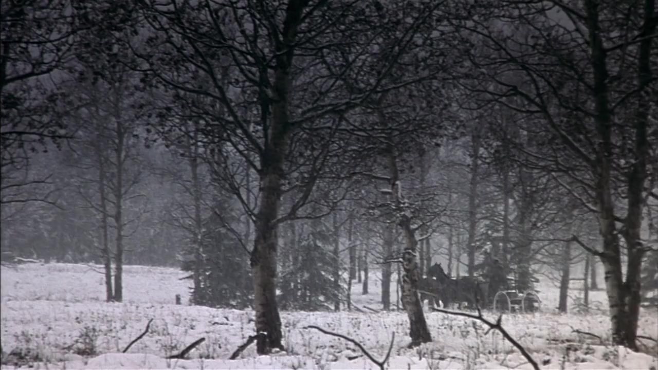 The Jack Bull screenshot 1