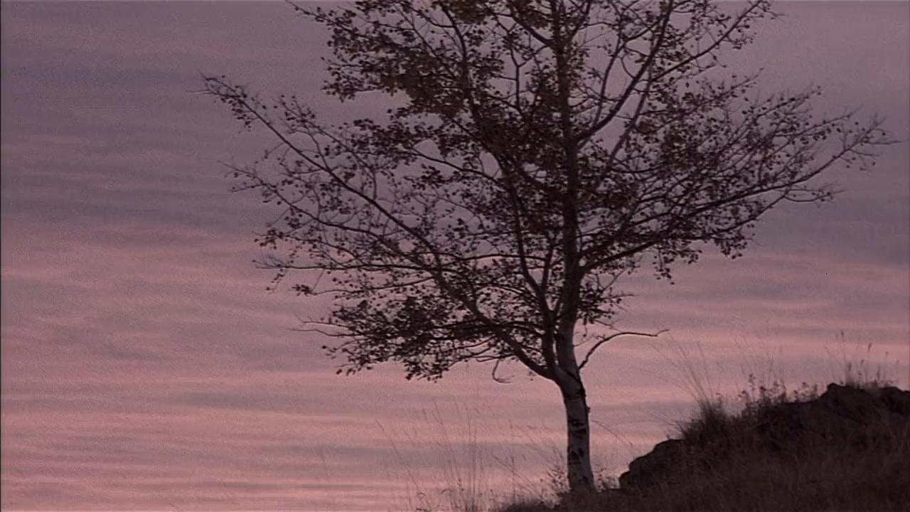 The Jack Bull screenshot 2