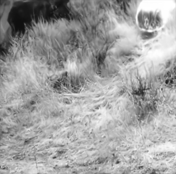 The James Brothers of Missouri screenshot 3