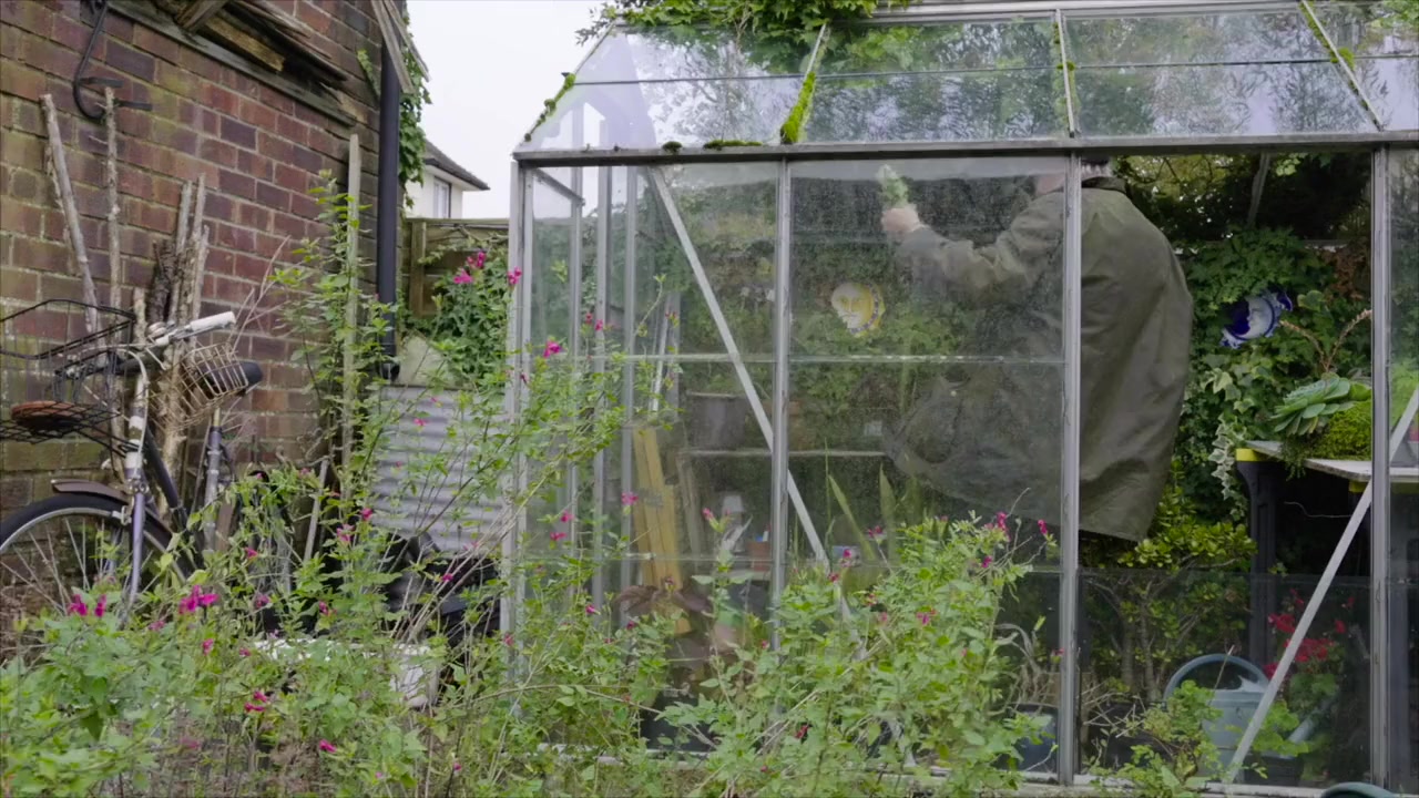 The Jangling Man: The Martin Newell Story screenshot 1