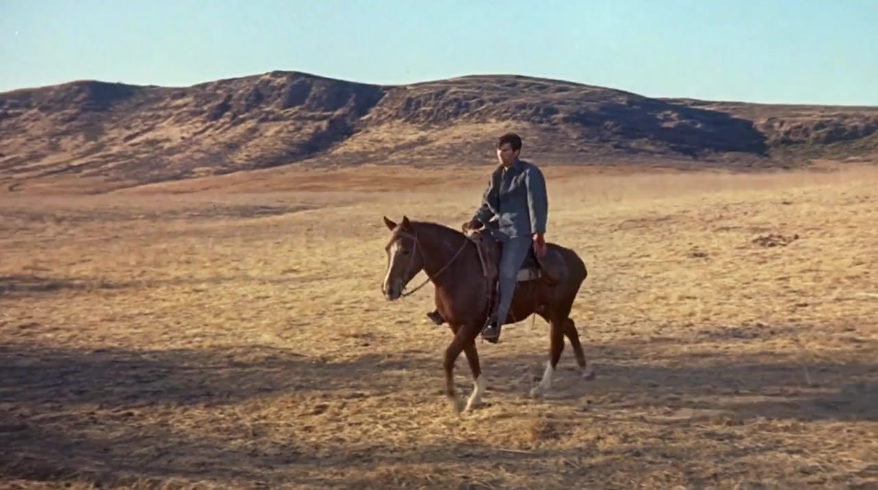 The Jayhawkers! screenshot 3