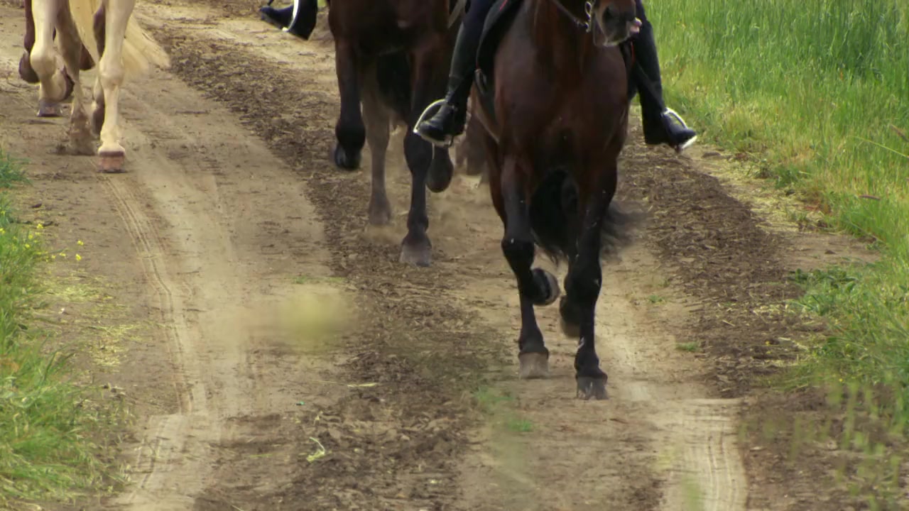 The Journey: A Music Special from Andrea Bocelli screenshot 1