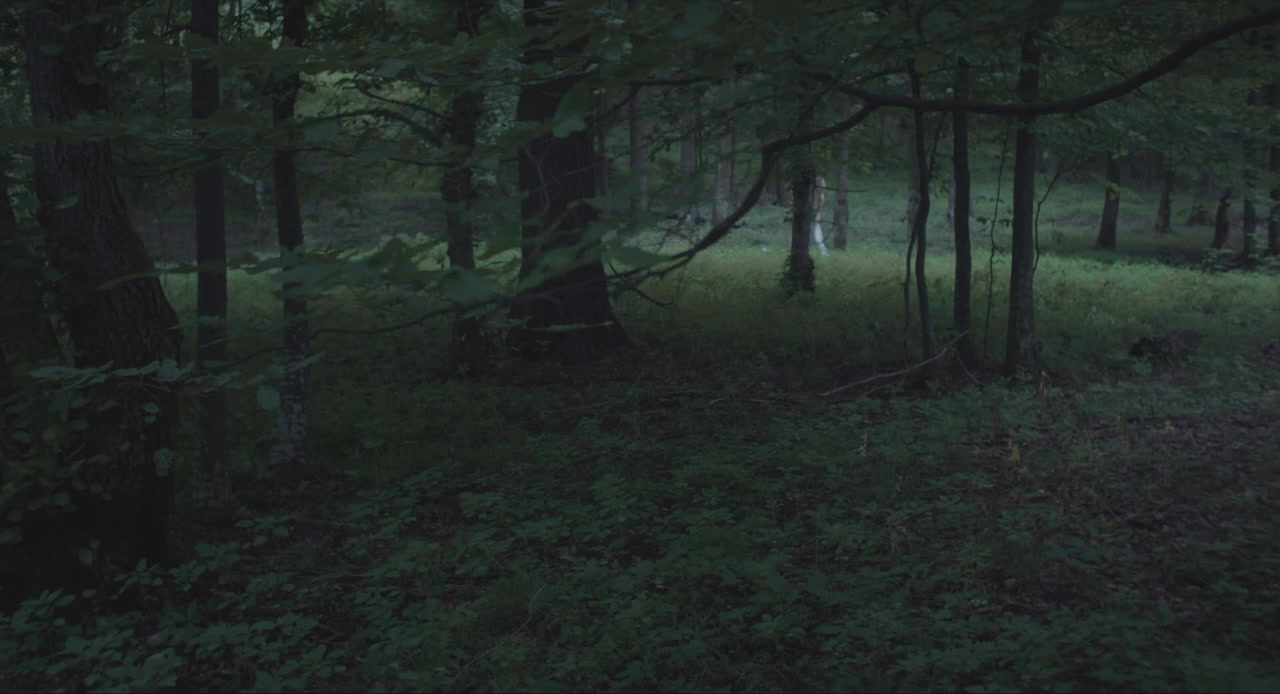 The Keeping Room screenshot 2