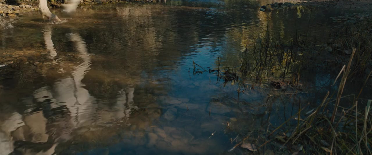 The Kid screenshot 1