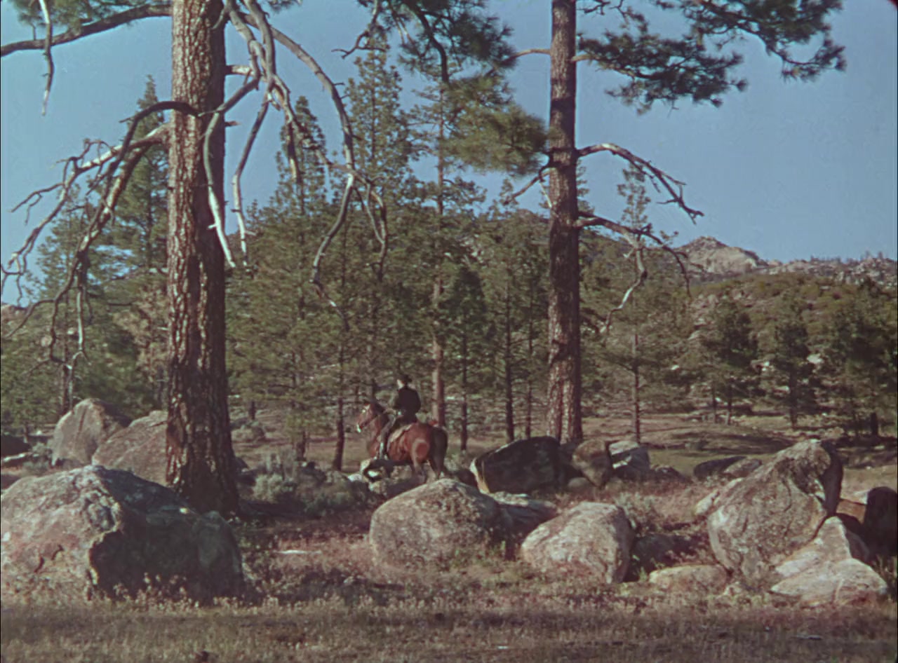 The Kid from Texas screenshot 1