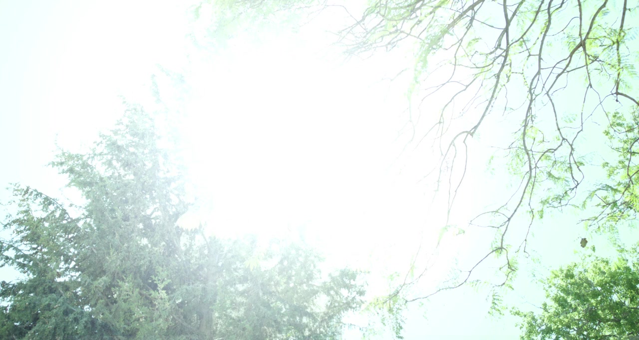 Ha-ganenet screenshot 1