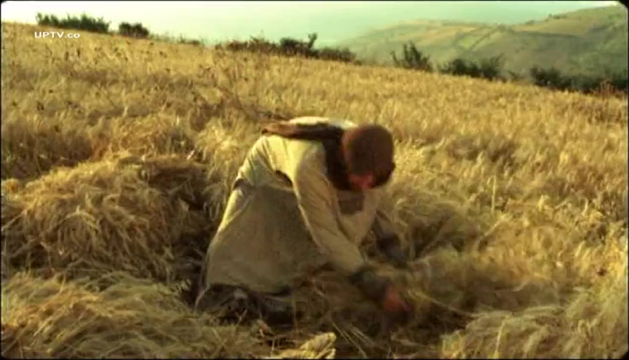 Molke Soleiman screenshot 1