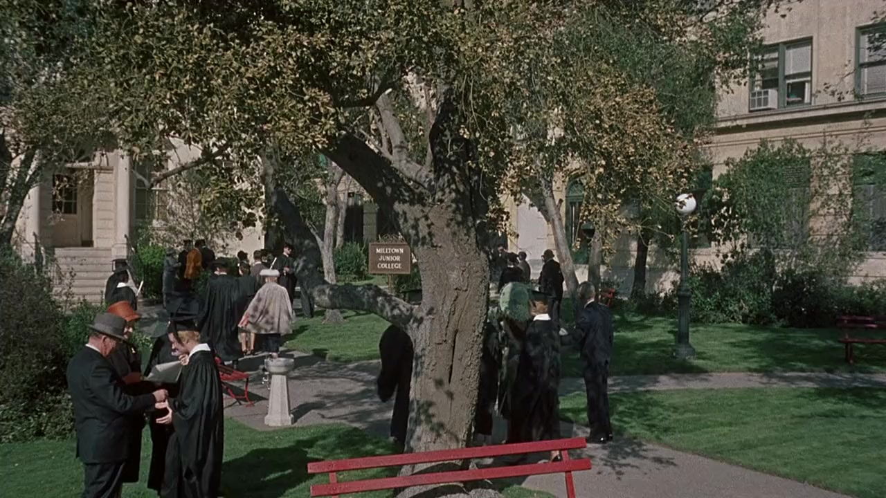 The Ladies Man screenshot 1